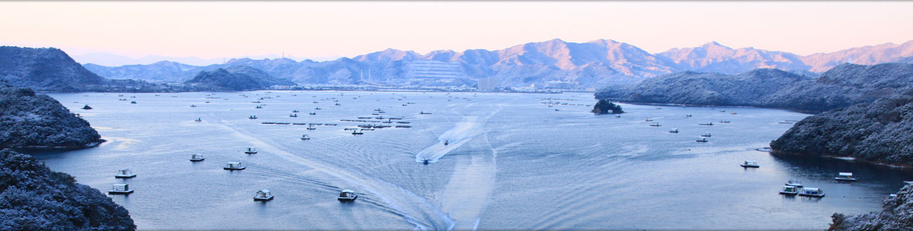 島田島からの景色