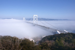霧の大鳴門橋