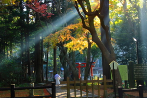 鳴門百景フォトコンテスト 入賞作品